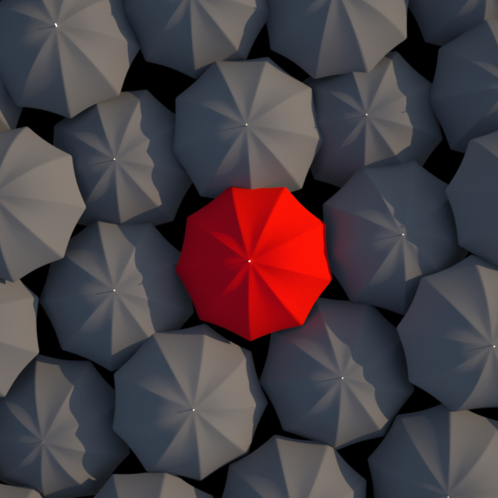 Web design company in kochi